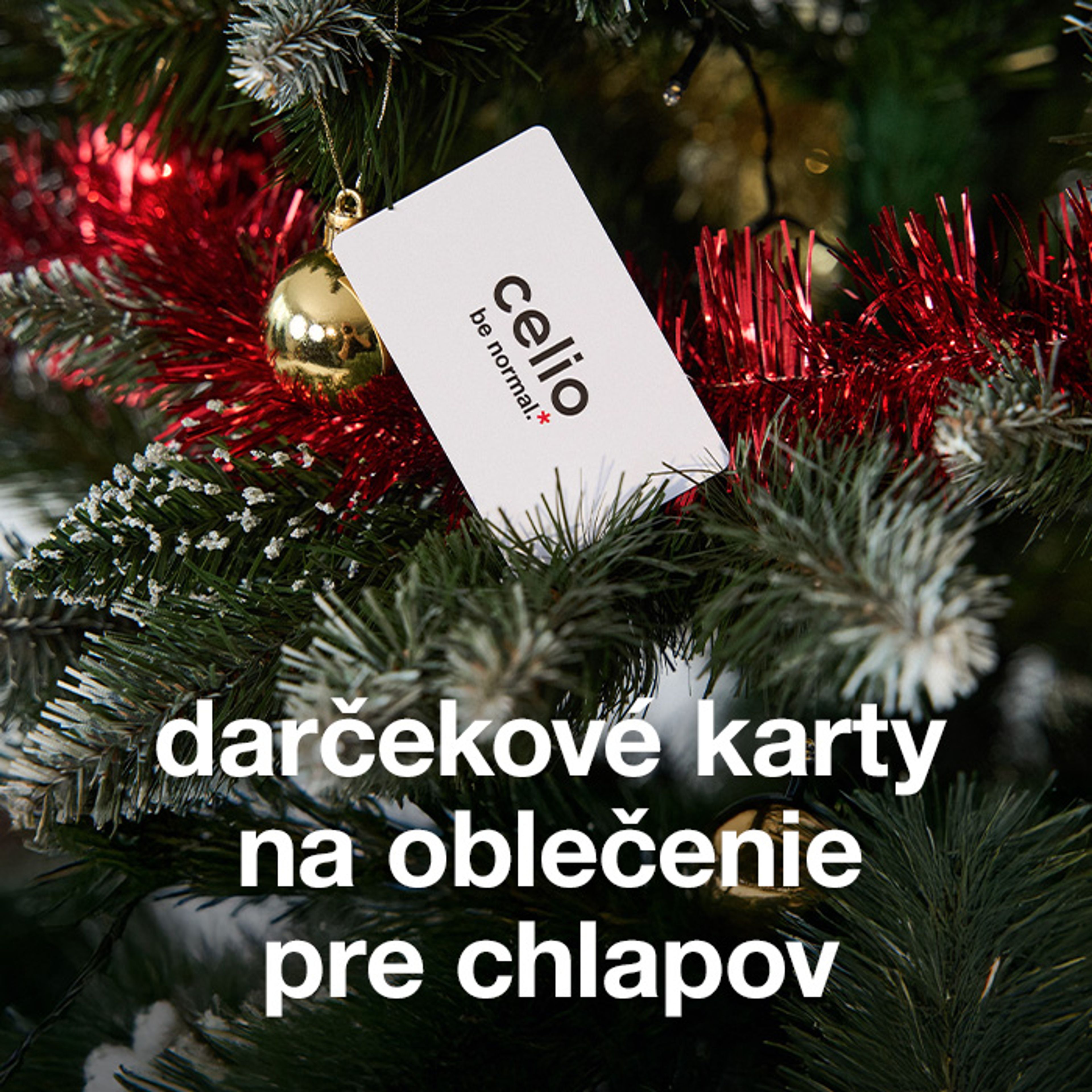 Darčekové poukážky — keď chceš siahnuť po istote