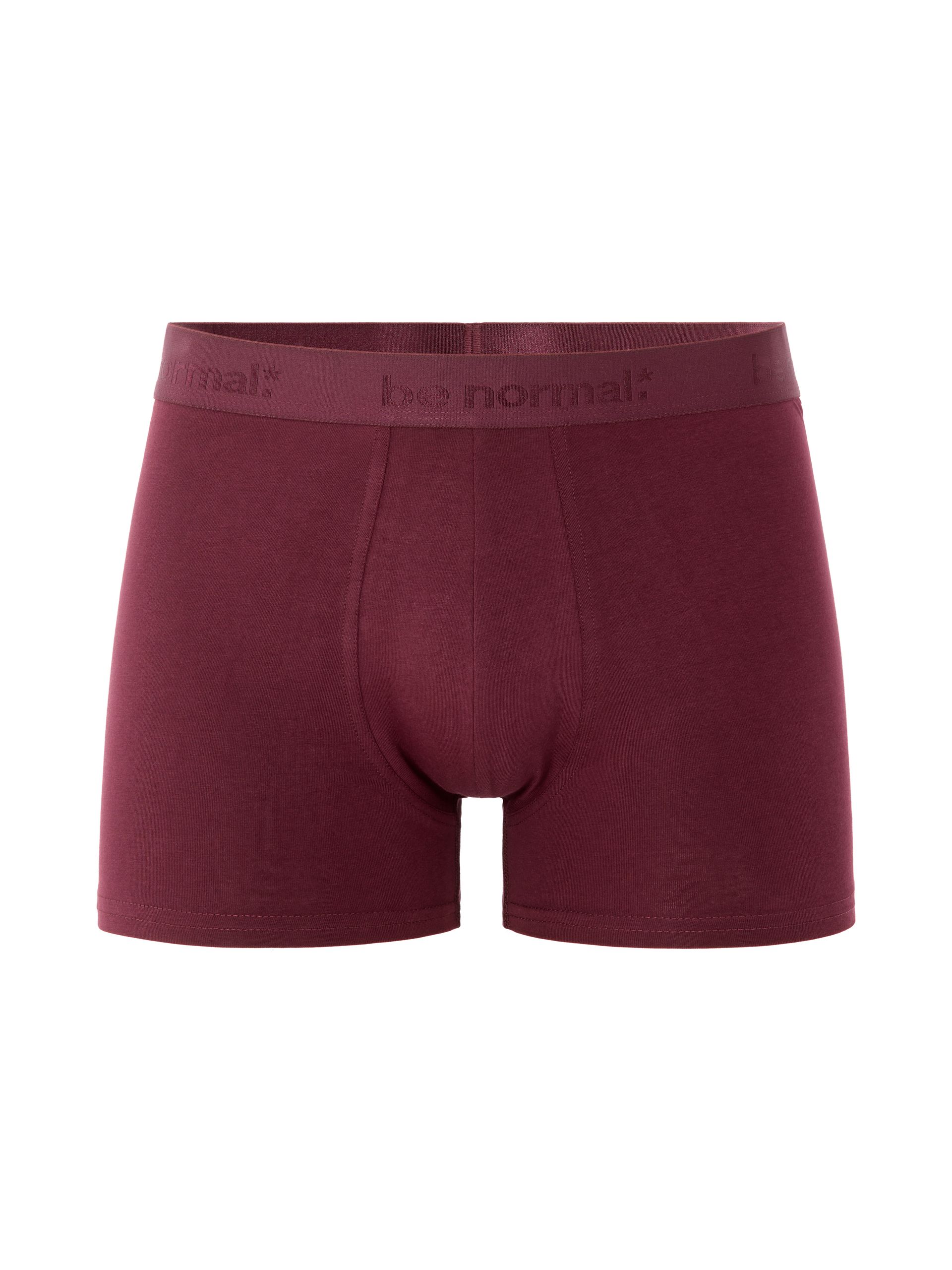 Bavlněné boxerky Binormal - 001