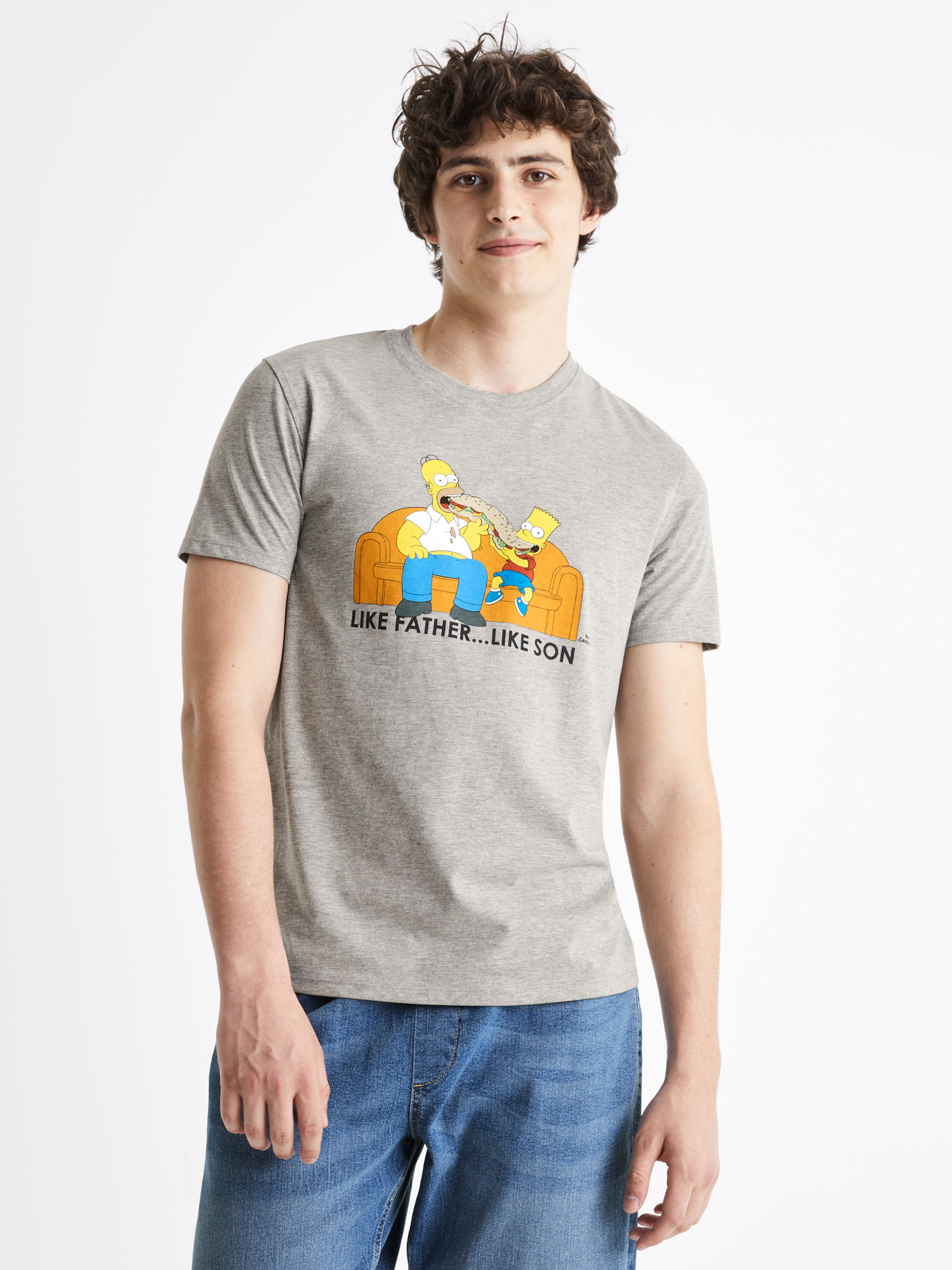 carousel image