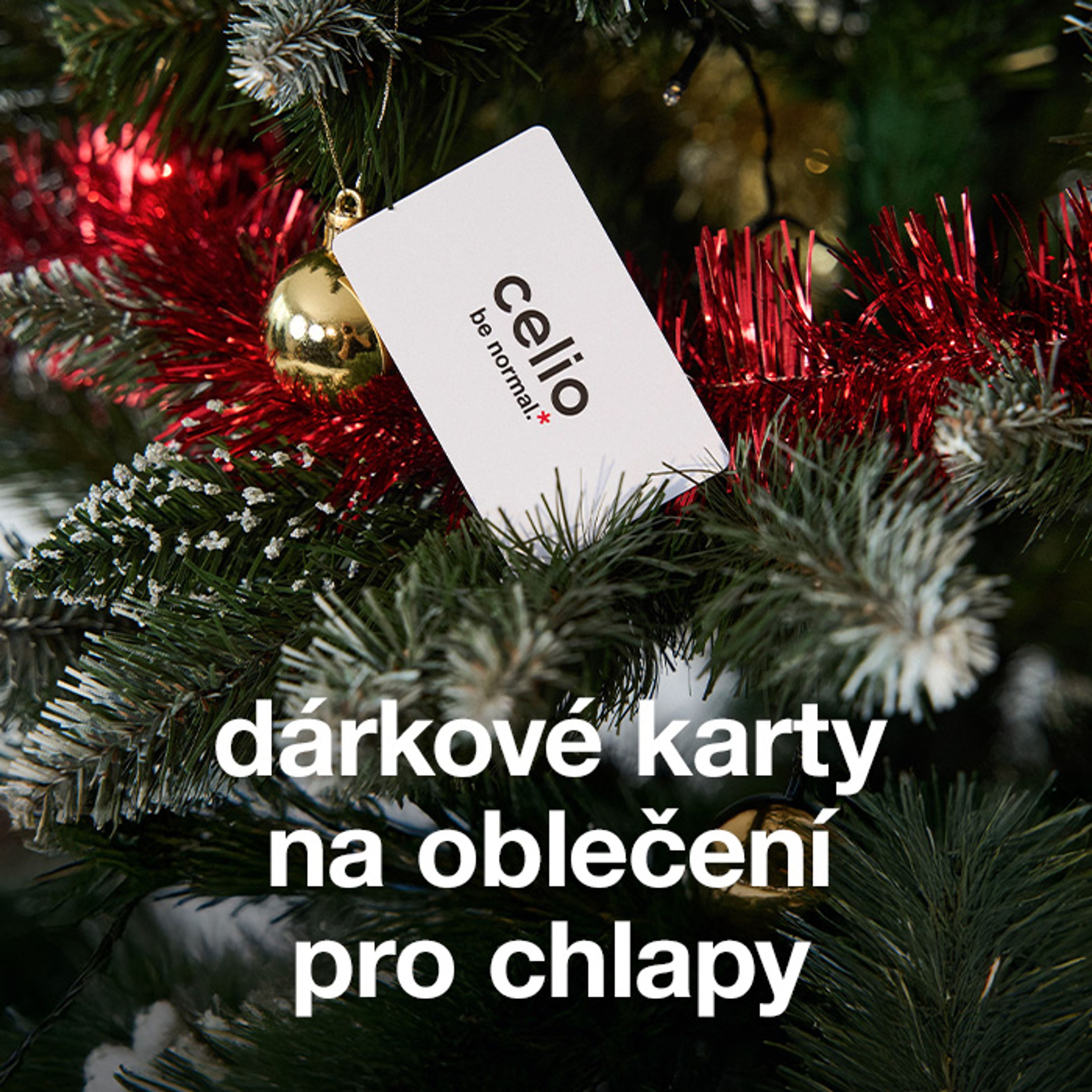 Dárkové karty - když chceš sáhnout po jistotě