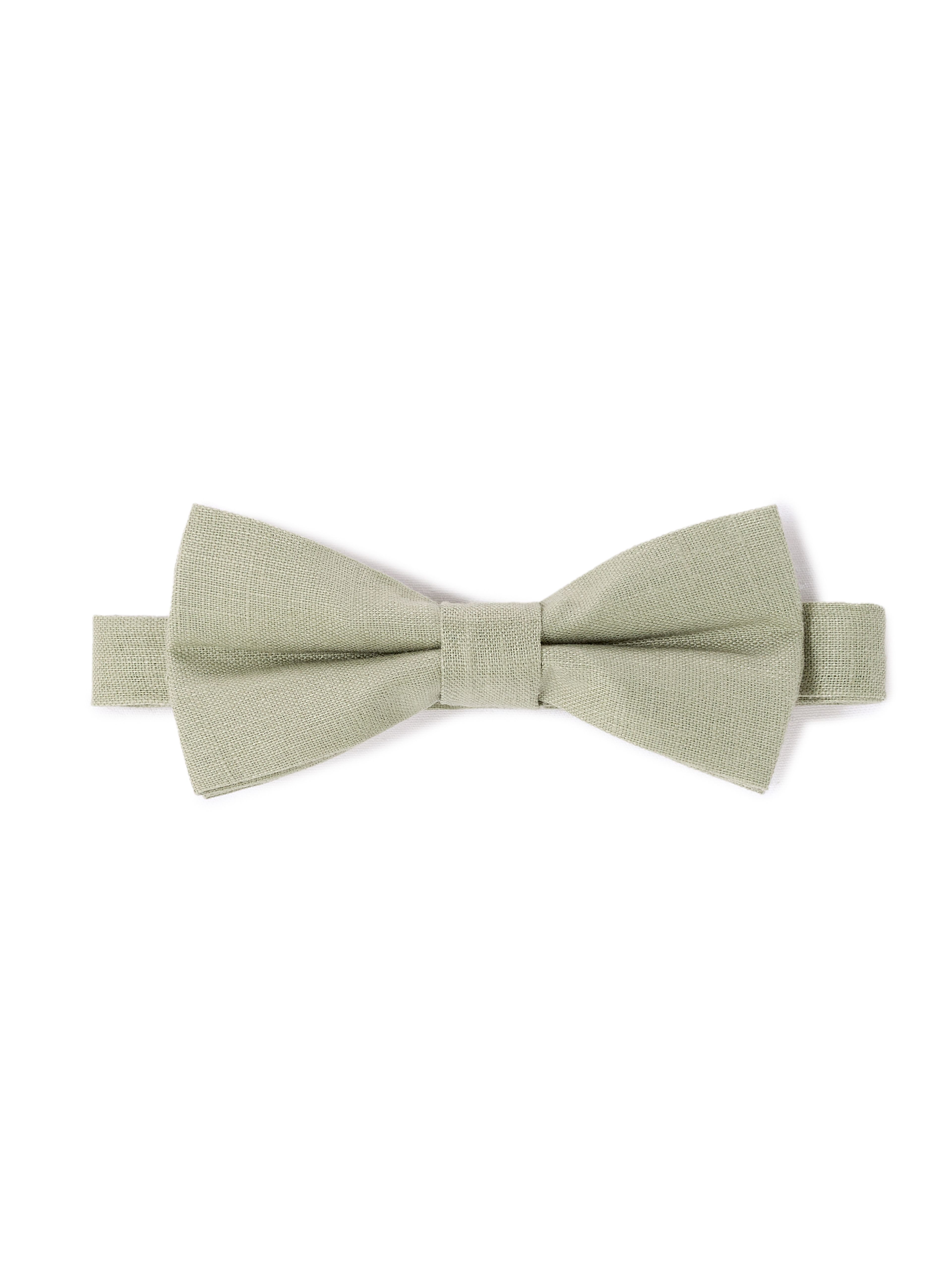 Motýľ Libowwed