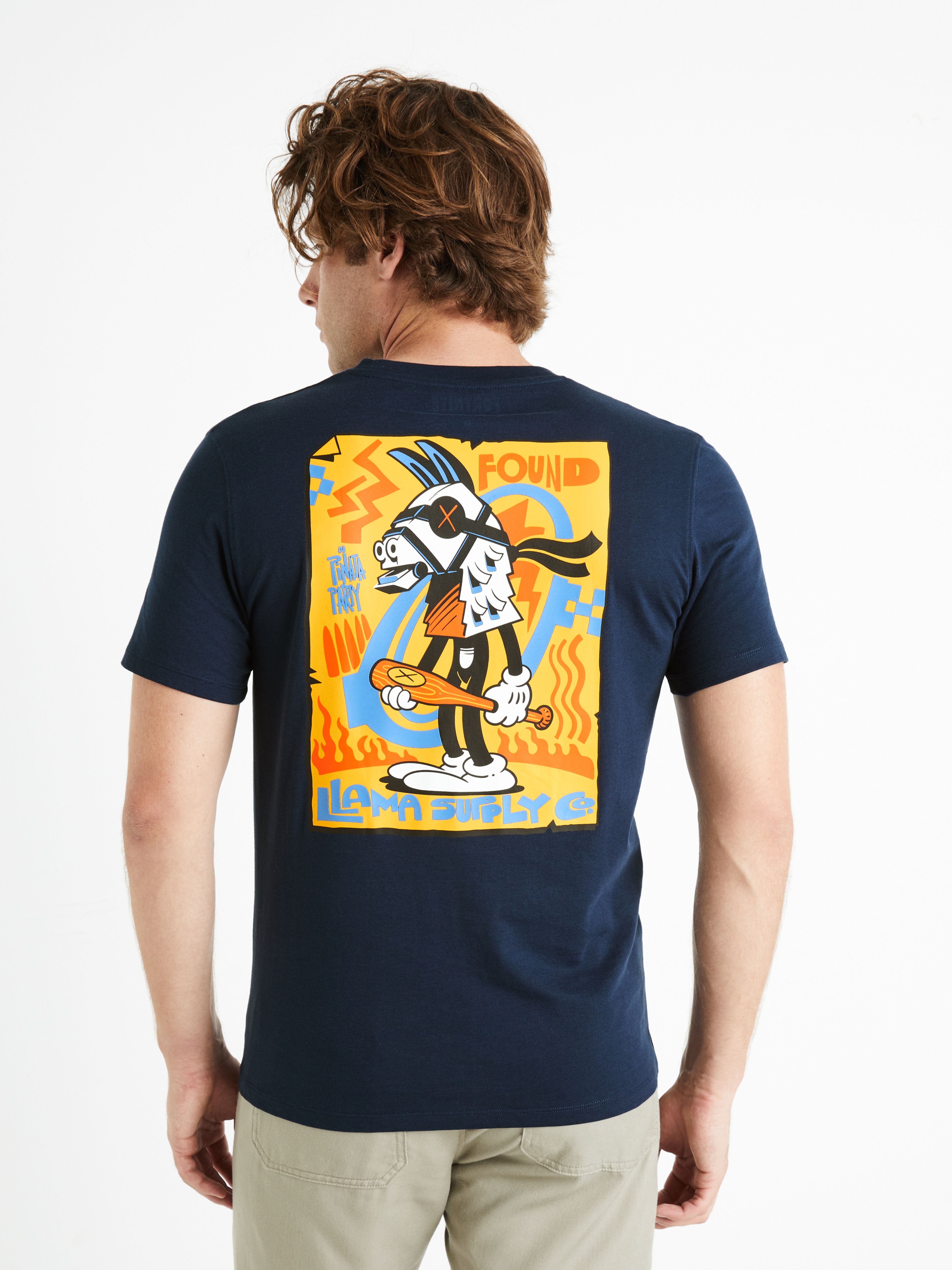 carousel image