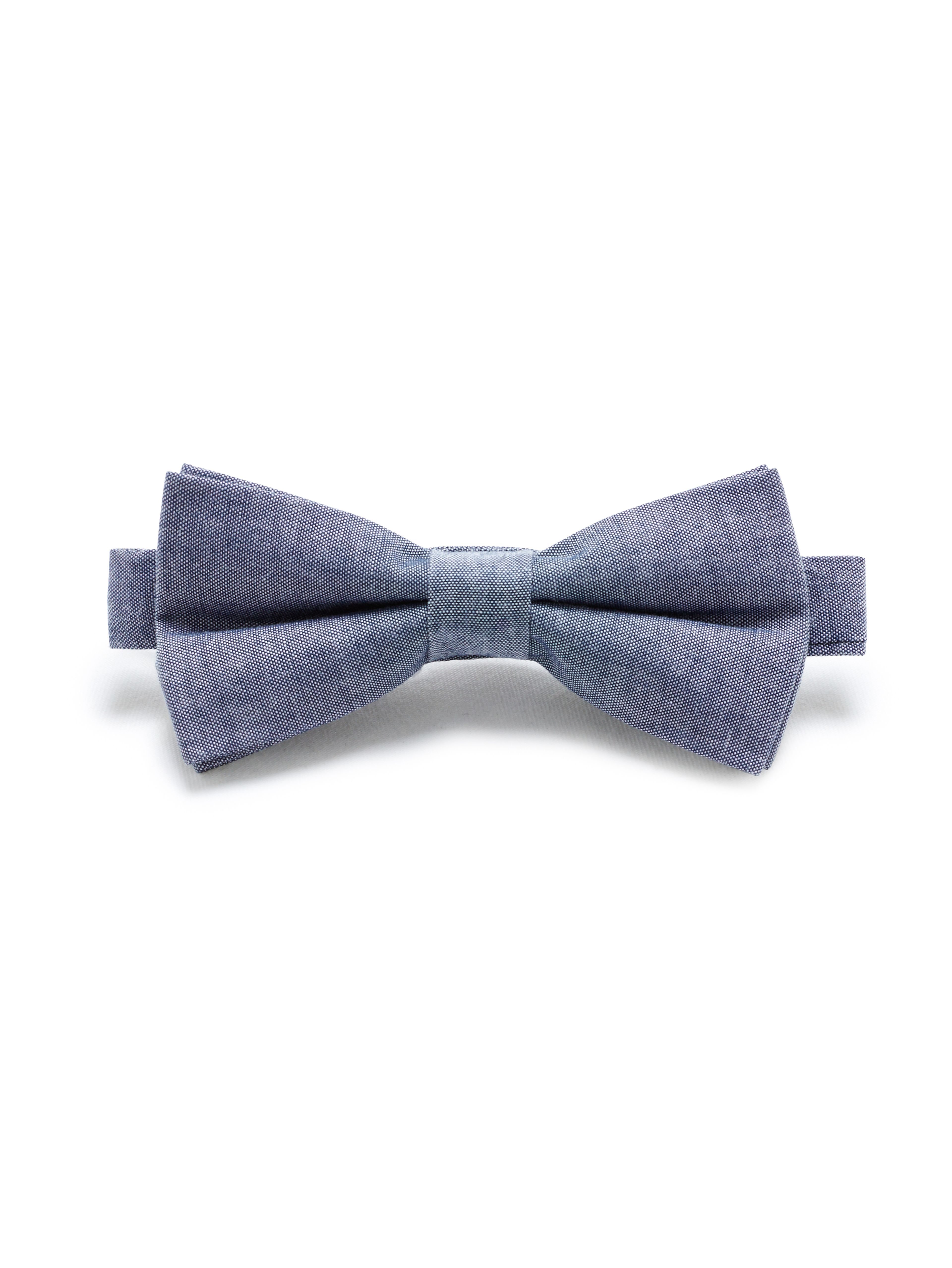 Motýlik Libowwed